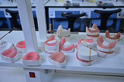 Dental Laboratory / Faculty of Dentistry industry